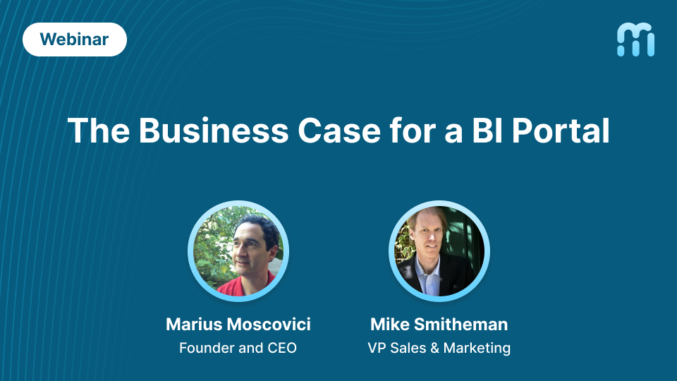 The Business Case for a BI Portal